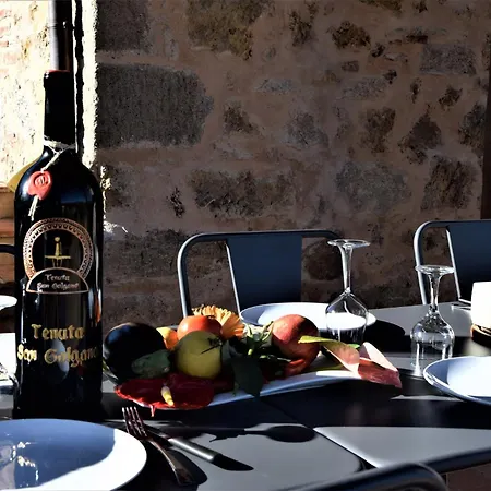 빌라 Tenuta San Galgano