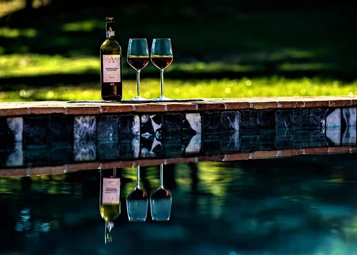 Tenuta San Galgano * モンティチャーノ